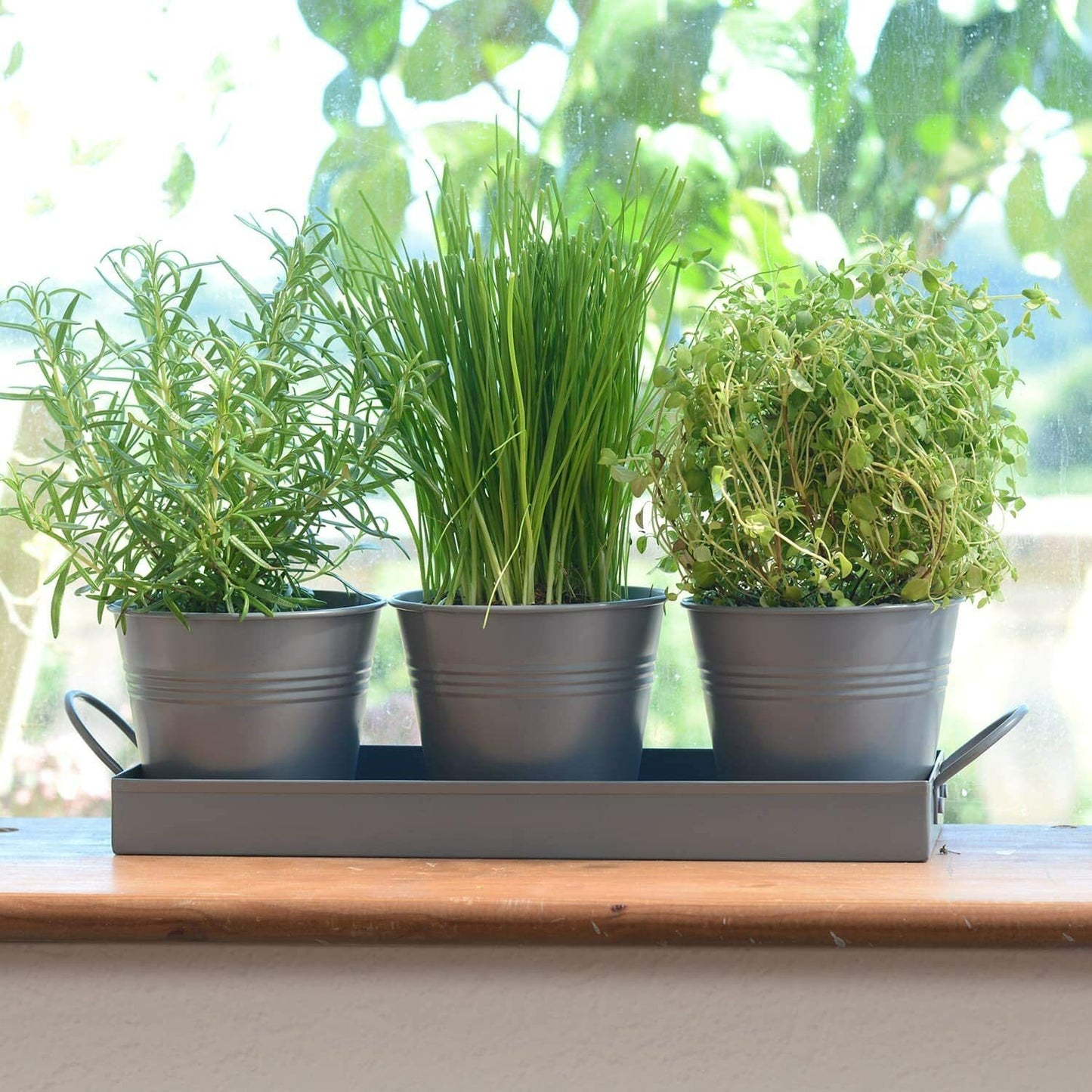 Indoor Herb Planters Tray Kitchen Windowsill Plant Pot with Handle Charcoal Set