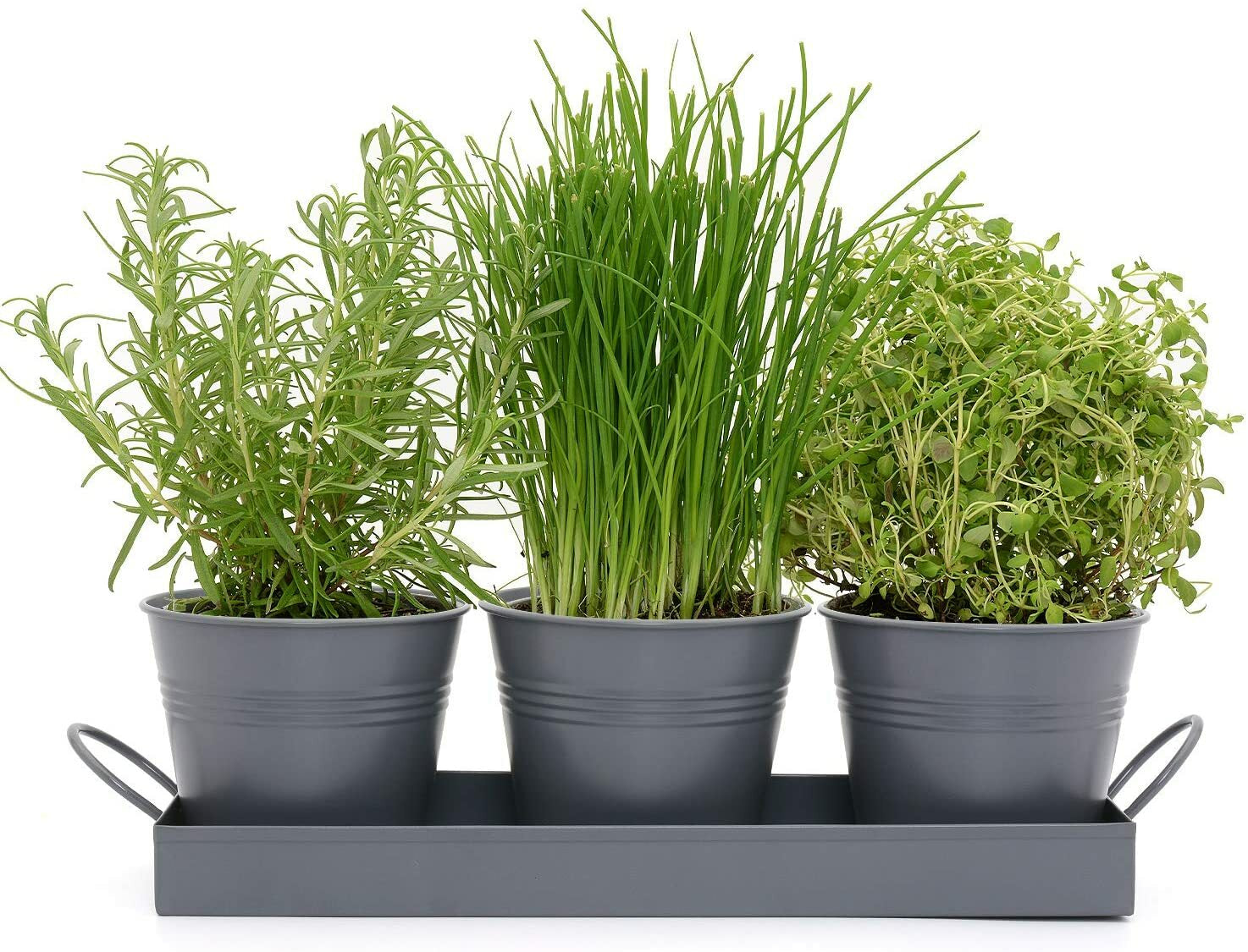 Indoor Herb Planters Tray Kitchen Windowsill Plant Pot with Handle Charcoal Set