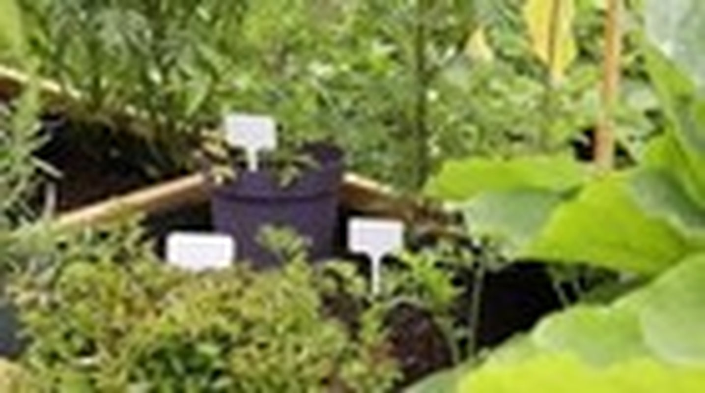 Plant Tie, Artificial Grass Joint Tape, Plant Label N Hook & Loop Plant Tie Tape