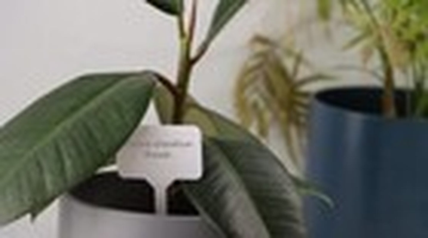 Plant Tie, Artificial Grass Joint Tape, Plant Label N Hook & Loop Plant Tie Tape
