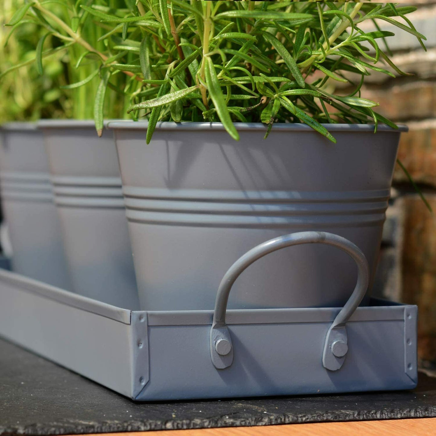 Indoor Herb Planters Tray Kitchen Windowsill Plant Pot with Handle Charcoal Set