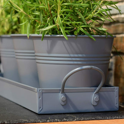 Indoor Herb Planters Tray Kitchen Windowsill Plant Pot with Handle Charcoal Set